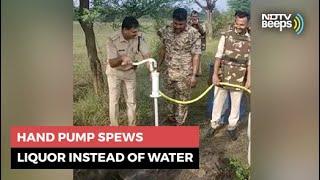 Video: How Liquor Came Out Of This Hand Pump In Madhya Pradesh