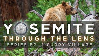 Yosemite Through The Lens: Ep. 1 Curry Village