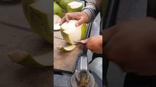 Best Machete for Coconuts - Tested & Reviewed