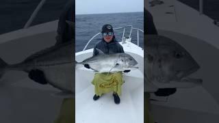 Duży Giant Trevally z Madagaskaru 