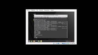 Instalación MongoDB en Linux Mint VirtualBox