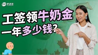 加拿大工签人士养孩子领牛奶金一年多少钱？如何正确计算牛奶金金额！申请牛奶金需要什么条件符合资格？