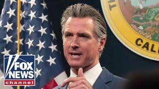 Gavin Newsom is the face of what's 'wrong' with politics: Adam Carolla