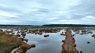 See the Deep South - a Charleston SC Real Estate Tour