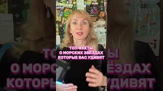 Топ факты о морских звёздах которые вас удивят #интересныефактыморскиезвёздынетмозга