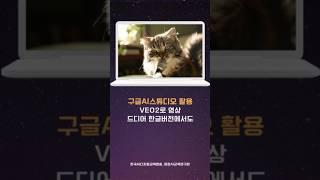 VEO2 구글AI스튜디오에서 무료 사용하는 법 #랑잠ai교육연구원 #구글ai스튜디오#한국AI디지털교육협회 #챗지피티강사_강성희