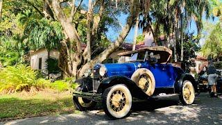 Lush Green Miami Walk w Sharkmama - Brickell Ave, Vizcaya Garden, Farmers' Market, Vintage Car Show