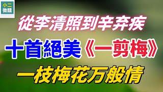 十首絕美《一剪梅》：隔世梅花，傳遞不變的情愫