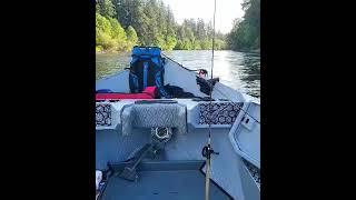 S. Santiam River. Foster,  Oregon.  time for some summer steelhead fishing. 05/2025