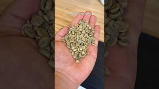 The journey of a coffee bean