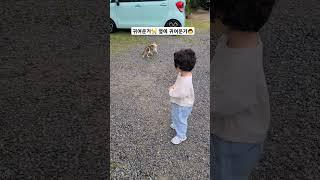 둘다 귀엽자나 #육아 #일상 #32개월 #귀여운고양이 #귀여운유현이
