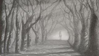 How to Draw a Road With Trees - Light and Shadow Path With Pencil