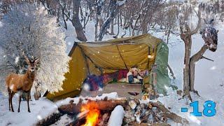 How not to freeze to death in the Wild forest in winter. Bushcraft shelter _ campfire for survival.