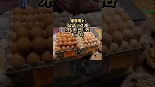 세계에서 달걀 가격이 가장 비싼 나라 Top 12