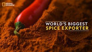 World's Biggest Spice Exporter | It Happens Only in India | National Geographic