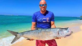 CATCH N' COOK GIANT TARPON!