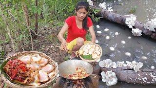 Survival skills, Pick egg and Mushroom for food in rainforest, Cooking egg with mushroom for dinner