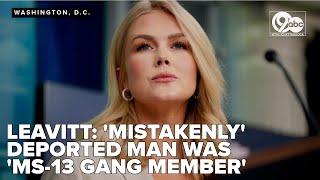 Mistakenly deported Maryland man was 'MS-13 gang leader,' Leavitt says