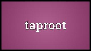 Taproot Meaning