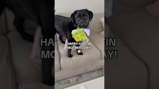 Mother’s Day was a DISASTER!