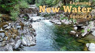 Fly Fishing The Western Cascades Of Oregon for Rainbow Trout (Euro-Nymphing)