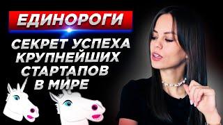 ТОП- 3 самых быстрых взлетов на вершину IT-бизнеса. Инвестиции в стартапы