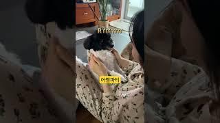 오늘따라 오락가락끼릭까락 파티
