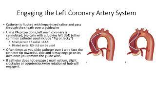 Left Heart Catheterization - an introduction.