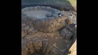 And we are complete... 20 x 30 8ft deep, custom carved concrete swim pond in Yorktown Virginia by Le