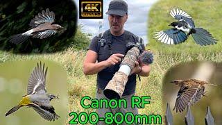 Canon RF 200-800mm lens. Is it too slow for birds in flight? Paired with the R7. 4K