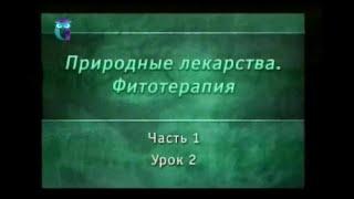 Фитотерапия. Урок 1.2. Адаптогены. Часть 1