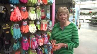 Choosing the Right Gardening Gloves