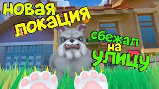 КОТ СБЕЖАЛ НА УЛИЦУ -  НОВОЕ ОБНОВЛЕНИЕ - I AM CAT