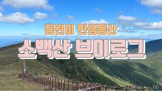 단양 소백산 비로봉 등산️️(어의곡탐방지원센터-비로봉-원점회귀)