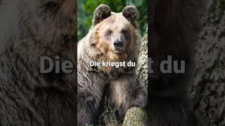 "Mission Tierschutz" Folge 6 | VIER PFOTEN