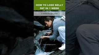 How to Lose Belly Fat in 1 Week #shorts