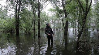 Твичим кренки или как поймать язя на спиннинг. Рыбалка 2021