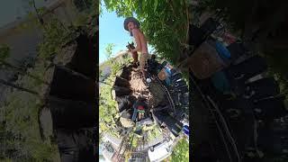 Urban Farmer Life With Piggy Red Piglet Willbered Farm Lifestyle #farmer