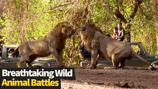 Top 17 INCREDIBLE Wild Animal Fights Caught On Cam (Animal Battles)