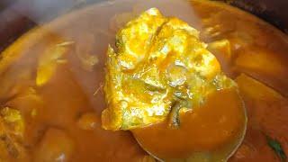 Easy Kerala Style Fish Curry |  Josephine's Insight