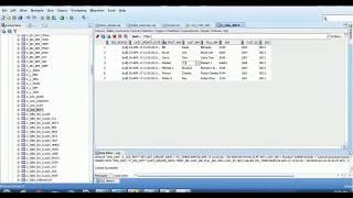 105. Informatica MDM 10 Tutorial - Audit Trail for Fullset Data Load and Incremental Data Load