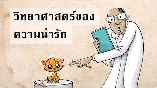 Baby Schema : วิทยาศาสตร์ของความน่ารัก