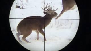 13 Trophy Whitetail Bucks Harvested in Snow using Smartphone Scope Mount at Apple Creek Whitetails