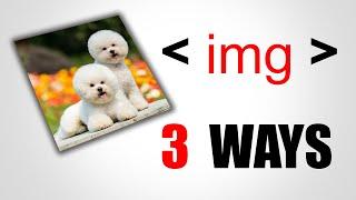 HTML img tag || HTML Tutorial