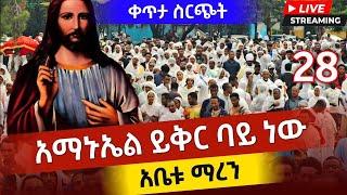 !!ቀጥታ!! ሥርጭት !!ቅዳሴ!!ሰኔ 28. 2016 ዓም በእለተ አማኑኤል ኑ አብረን እናስቀድስ!!በዶርቃ!! ሚዲያ  0941161616