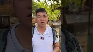 Căng thẳng những ngày trở lại Việt Nam | Phong Bụi