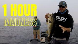 Kissimmee Chain Bass Tournamment 2021 | Lake Toho