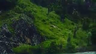 Lidder River, Pahalgam, Kashmir.