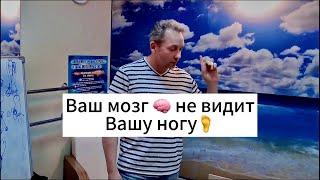 Ваш мозг  не видит вашу ногуСергей Нечипоренко