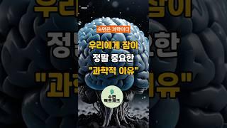 우리에게 잠이 정말 중요한 과학적이유 #수면부족 #수면장애 #수면불안장애 #수면스트레스